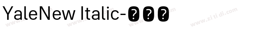 YaleNew Italic字体转换